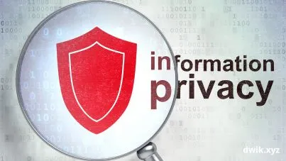 Kebijakan Privasi - Dwik.XYZ